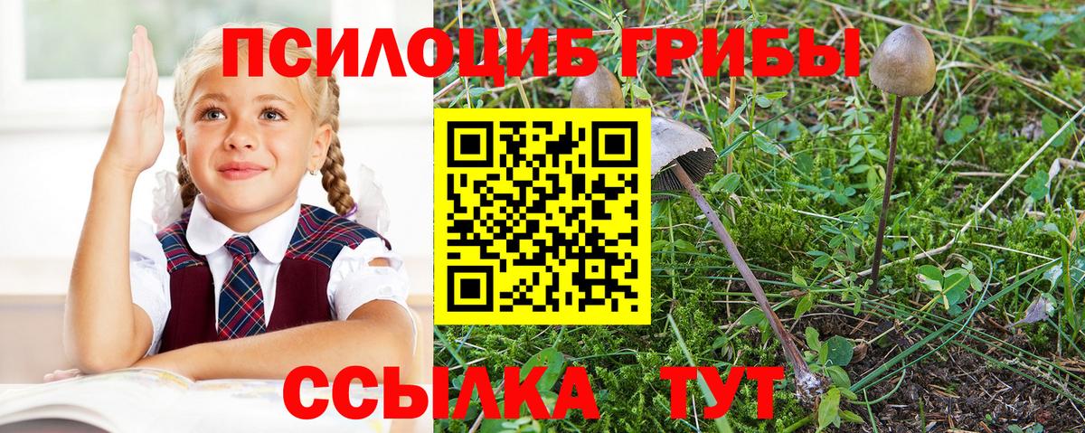Псилоцибиновые грибы мицелий Уссурийск
