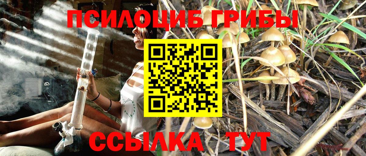Уссурийск  Галлюциногенные грибы Magic Shrooms  Вход с VPN 